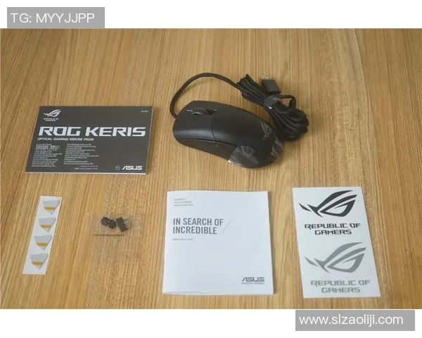 王秀英独家揭秘：深入浅出分享王者荣耀游戏技巧与心得体会