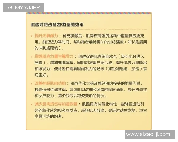 全面提升运动表现的科学方法与实践技巧分享