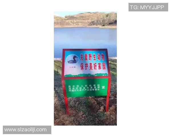 灰熊生态研究:栖息地保护、种群动态与生态环境的相互关系分析 灰熊生态研究:栖息地保护、种群动态与生态环境的相互关系分析