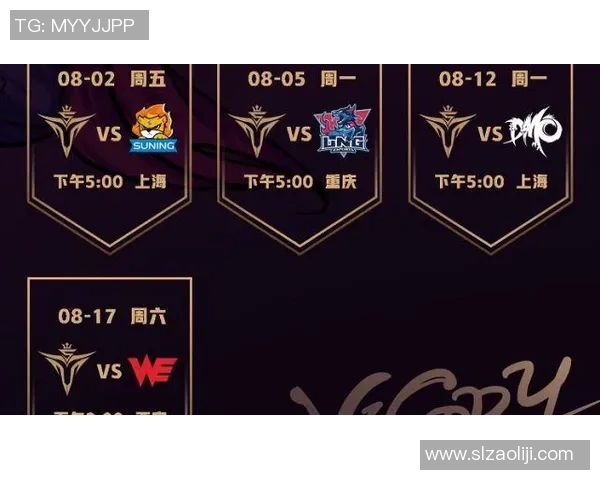 WE战队的整体压制体系解析与战术运用探讨