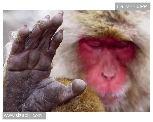 偶遇足球明星的奇妙瞬间记录与分享让我们一起感受他们的魅力与热情